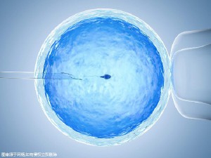 同志借卵代怀咨询哪家好